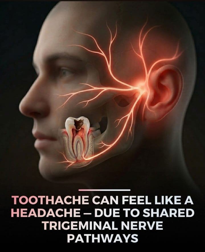 Toothache and headache awareness